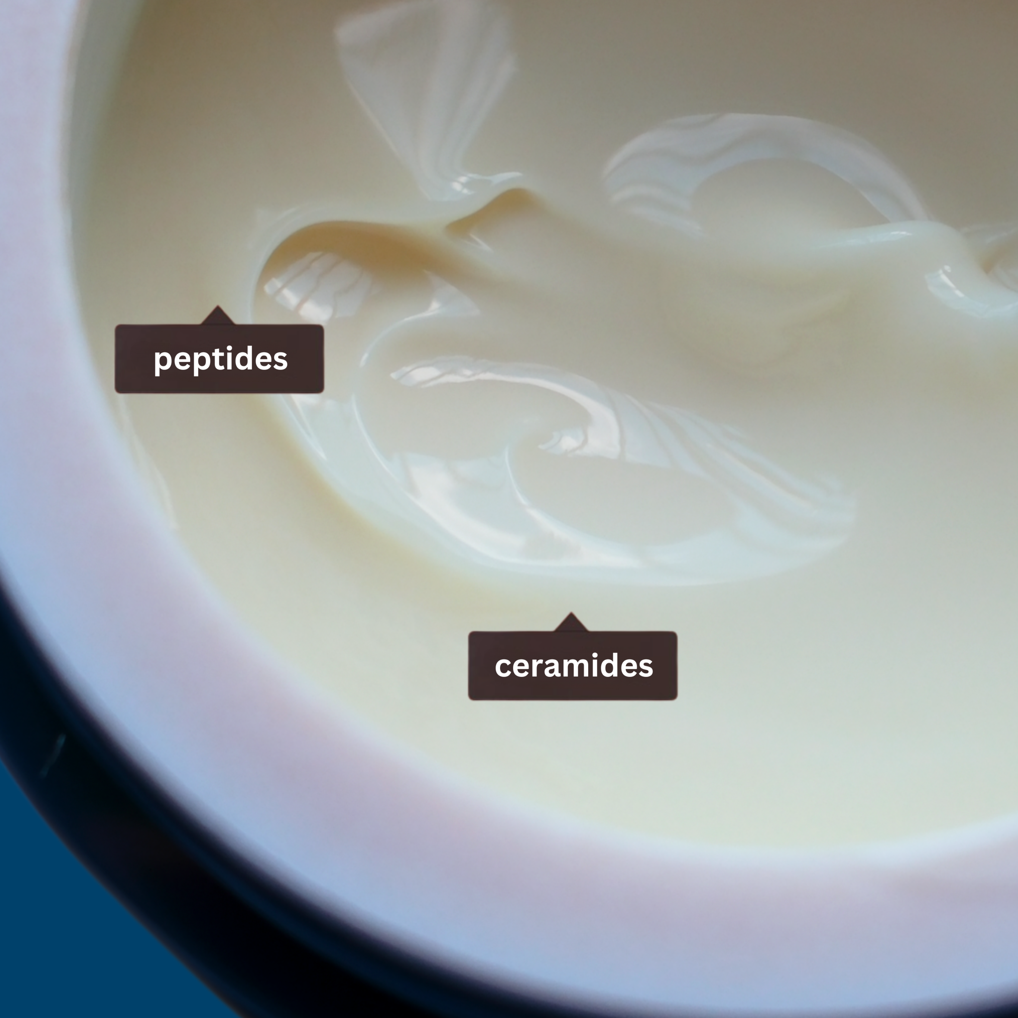 Why Ceramides & Peptides Are Winter Skin Must-Haves